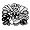 SIDES